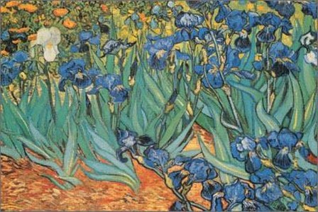 Garden Of Irises by Vincent Van Gogh art print