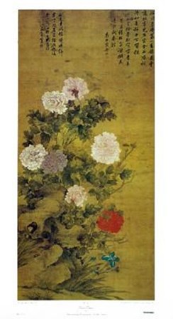 Chinese Peonies (Ch&#39;ing Dynasty 17-18Th art print