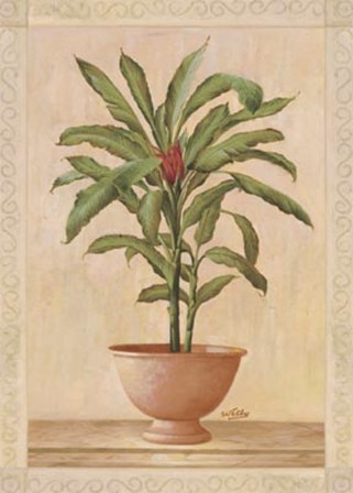 Potted Palm I by Welby art print