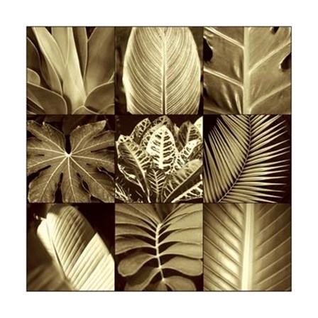 Tropical Leaves II by Caroline Kelly art print