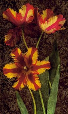 Decorative Tulips I by John Seba art print