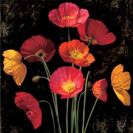 Poppy Bouquet I by John Seba art print