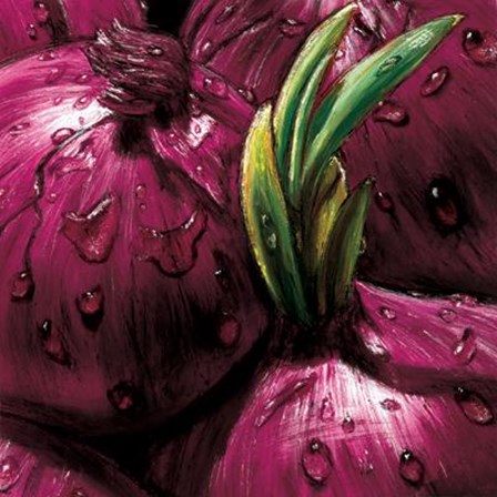 Onions art print