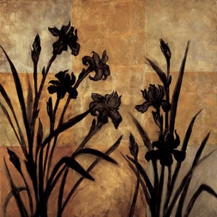 Iris Silhouette I by T.L. Lange art print