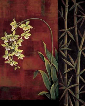 Green Orchid by Jill Deveraux art print