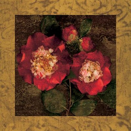 Red Camellias II by John Seba art print