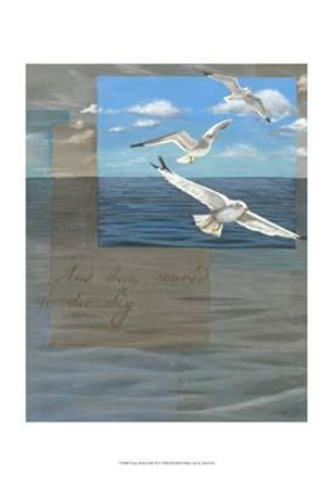 Three White Gulls III by Tara Friel art print