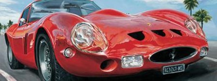 Sport Corsa by Francis Brook art print