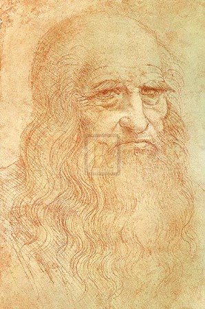 Self Portrait by Leonardo Da Vinci art print