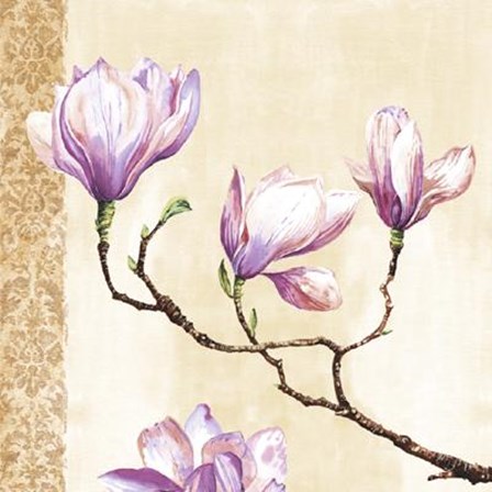 Magnolias On Pink by M. Louise art print