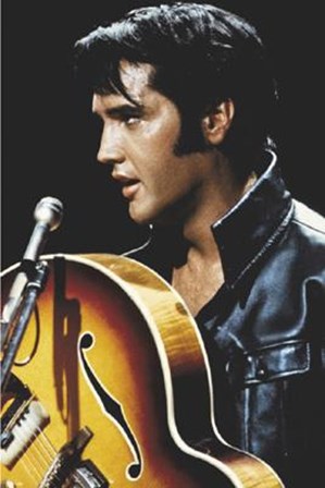 Elvis: King Of Rock and Roll art print