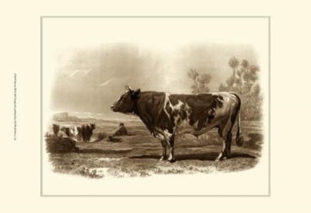 Bovine III by Emile Van marck art print