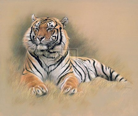 Tiger [Ed 195] by Gary Stinton art print