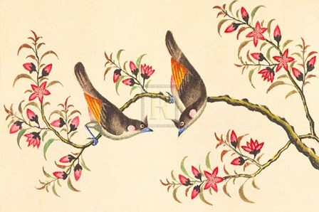 Birds and Flowers on Branch art print