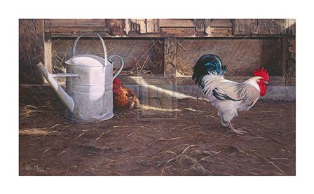 Rooster And Watering Can by Robyn Munro art print