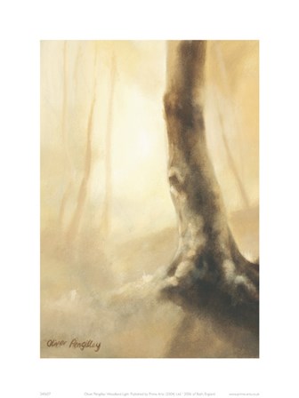 Woodland Light by Oli Pengilley art print