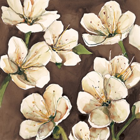 Fiori di Ciliegio by Giuseppina Tartagni art print