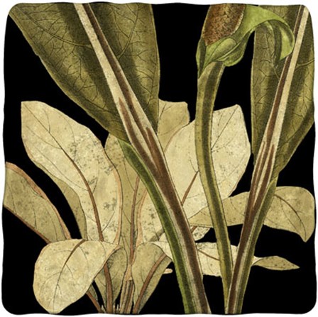 Tranquil Tropical Leaves V by Vision Studio art print