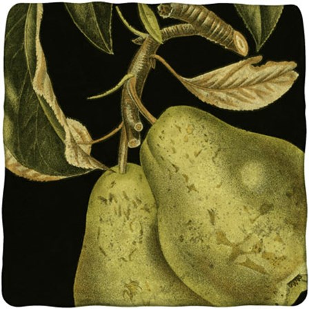 Dramatic Pear by Vision Studio art print