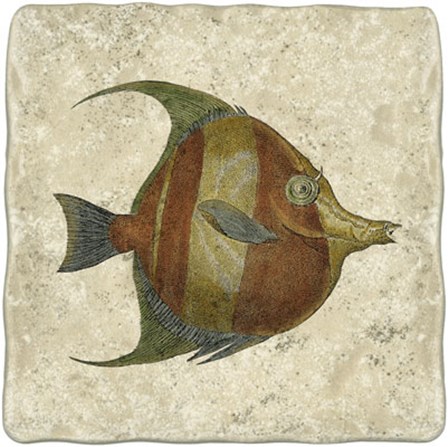 Angel Fish II by Vision Studio art print