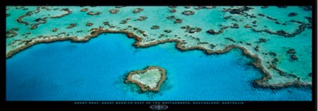 Heart Reef, Great Barrier Reef by Grant Faint art print