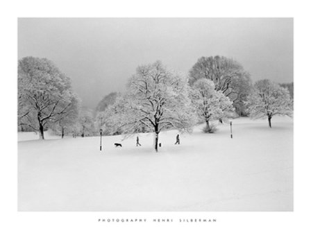 Prospect Park Trees by Henri Silberman art print