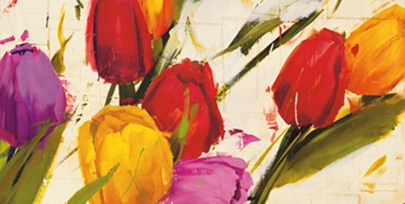 Tulips by Antonio Massa art print