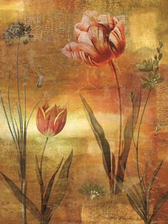 Tulip Garden II by John Seba art print