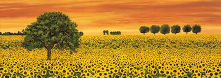 Field of Sunflowers by Richard Leblanc art print