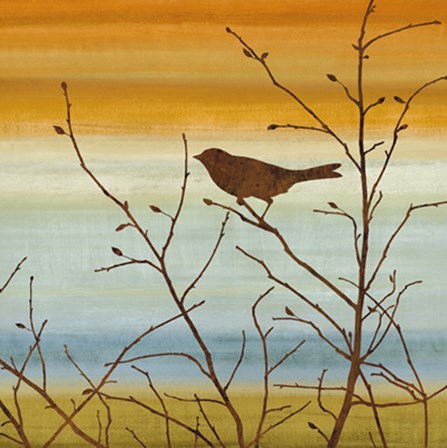 Morning Song II by Chris Donovan art print