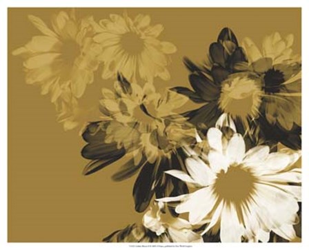 Golden Bloom II by A. Project art print