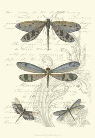 Dragonfly Delight I by Vision Studio art print