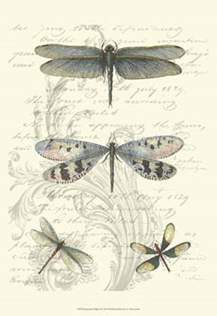 Dragonfly Delight II by Vision Studio art print