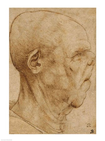 Caricature of the head of an old man, in profile to the right, c.1507 by Leonardo Da Vinci art print
