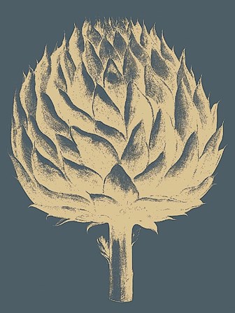 Artichoke 2 art print