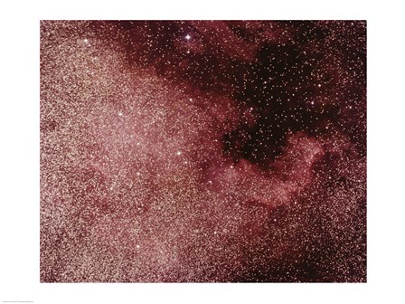North America Nebula In Cygnus art print