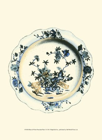 Blue &amp; White Porcelain Plate I art print