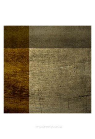 Modern Patina II by Vision Studio art print