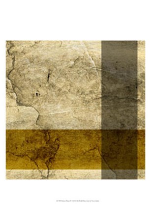 Modern Patina IV by Vision Studio art print