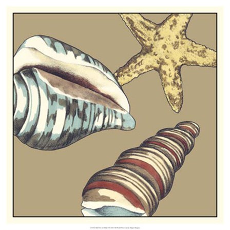 Shell Trio on Khaki I by Megan Meagher art print