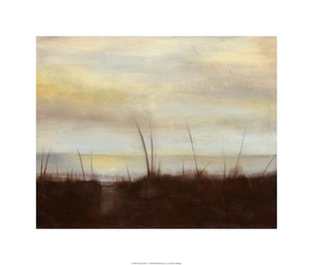 Sunrise Stroll IV by Jennifer Goldberger art print