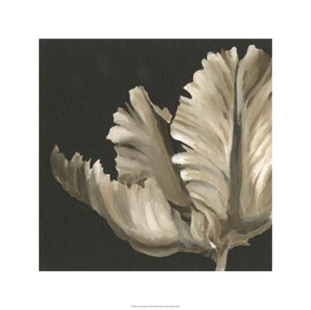 Classical Blooms II by Ethan Harper art print