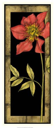 Floral Inset II by Jennifer Goldberger art print