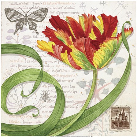 Tulip I by Lynnea Washburn art print