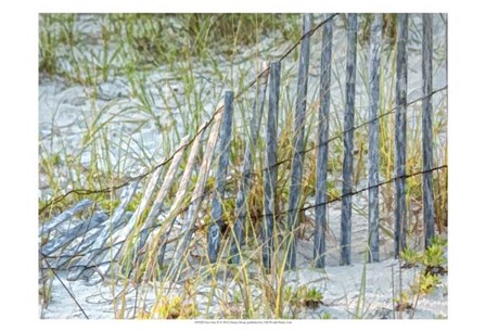 Sea Oats II by Danny Head art print