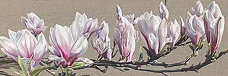 Magnolia Swathe by Sarah Caswell art print