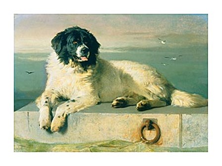 A Distinguished Member Of The Humane Society by Edwin Landseer art print