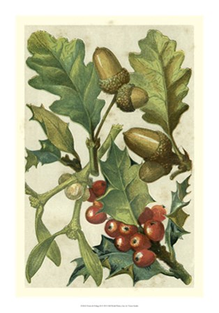 Fruits &amp; Foliage II by Vision Studio art print