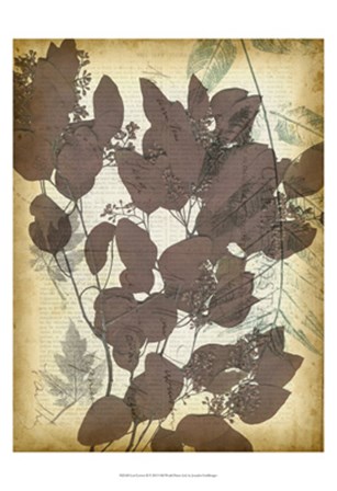 Leaf Letters II by Jennifer Goldberger art print