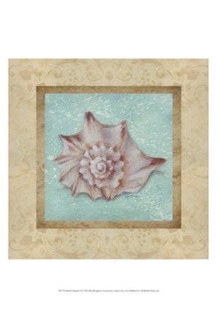 Shell &amp; Damask II by Rita Broughton art print